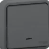 Interrupteur va-et-vient étanche complet encastré Schneider Electric Mureva Styl anthracite