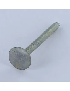 Kg de pointes ARDOISE Tête extra large TEL 3X30 Diamètre de tête: 12 Forte tenue à la corrosion Acier galvanisé - 1 pièce