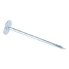 Kg de pointes Embase collerette RONDE Diamètre de tête: 20 Acier zingué 3.5X80 - 1 pièce