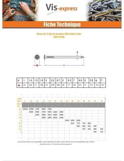 Kg de pointes Forte tenue à la corrosion Acier galvanisé à chaud Tête plate 2.2X40 - 5 pièces
