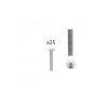 1 kit composés de 25 vis M4X275 mm zinguée Lot de 25
