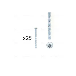 1 kit composés de 25 vis M4X45 mm zinguée Lot de 25