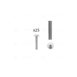 1 kit composés de 1 vis M4x45 mm zinguée cruciforme-fendue