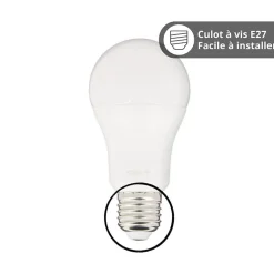 KOZii - Pack de 2 Ampoules LED connectées A60, culot E27, CCT avec prise connectée - KPACK2EE806GCCTPR