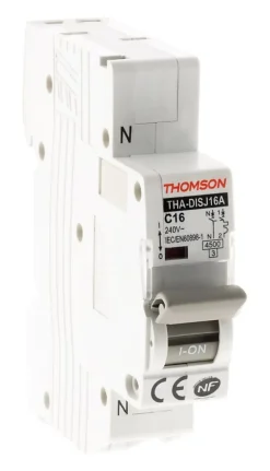 Lot de 6 disjoncteurs PH+N 16A NF Thomson