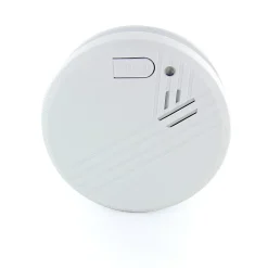 Lot de 2 détecteurs de fumée pile alcaline 1an - Chacon