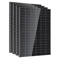 Lot de 4 Panneaux solaires 450Wc DMEGC Bifacial - Bi-verre
