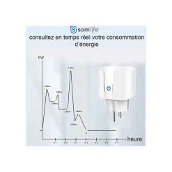 Lot 2 prises connectées SomLife application tuya smart life controle de consomation Compatible avec Alexa/Google Home