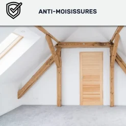 Peinture anti-condensation, anti odeur pour pièces humides Jaune soufre - RAL 1016 - 10 L - ARCANE INDUSTRIES