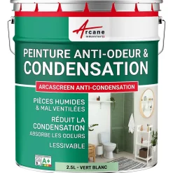 Peinture anti-condensation, anti odeur pour pièces humides Vert Blanc - RAL 6019 - 2.5 L - ARCANE INDUSTRIES