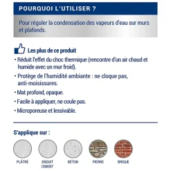 Peinture anti-condensation intérieur mat blanc Ripolin 0,75L