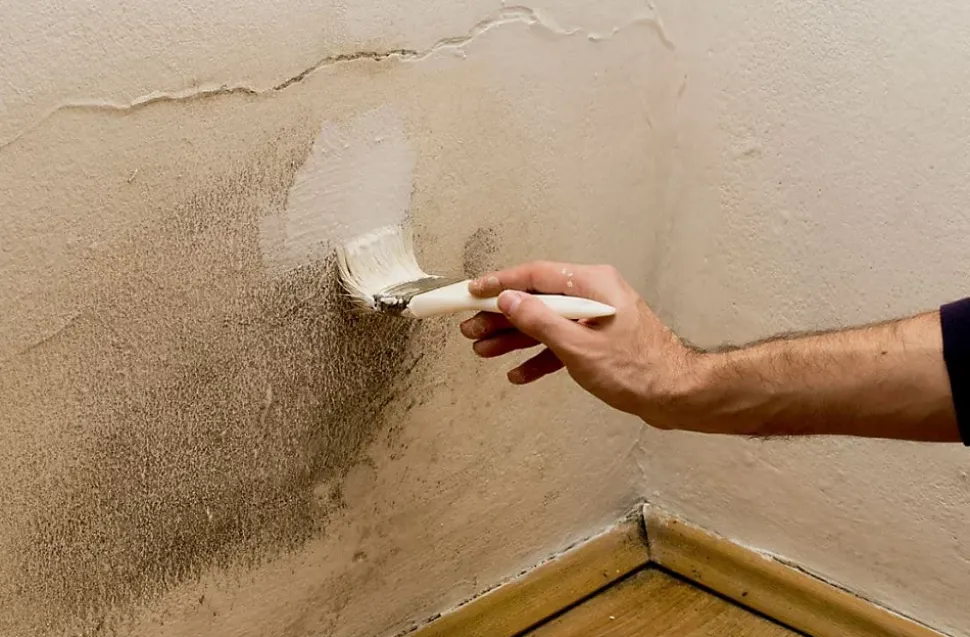 PEINTURE ANTI-HUMIDITE 0.75L- Primaire et finition hydrofuge - COMUS