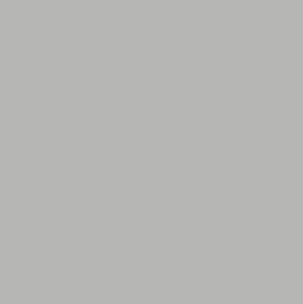 Peinture anti-humidité intérieur satin gris lome Ripolin 2,5L