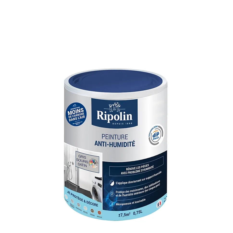 Peinture anti-humidité intérieur satin gris souris Ripolin 0,75L