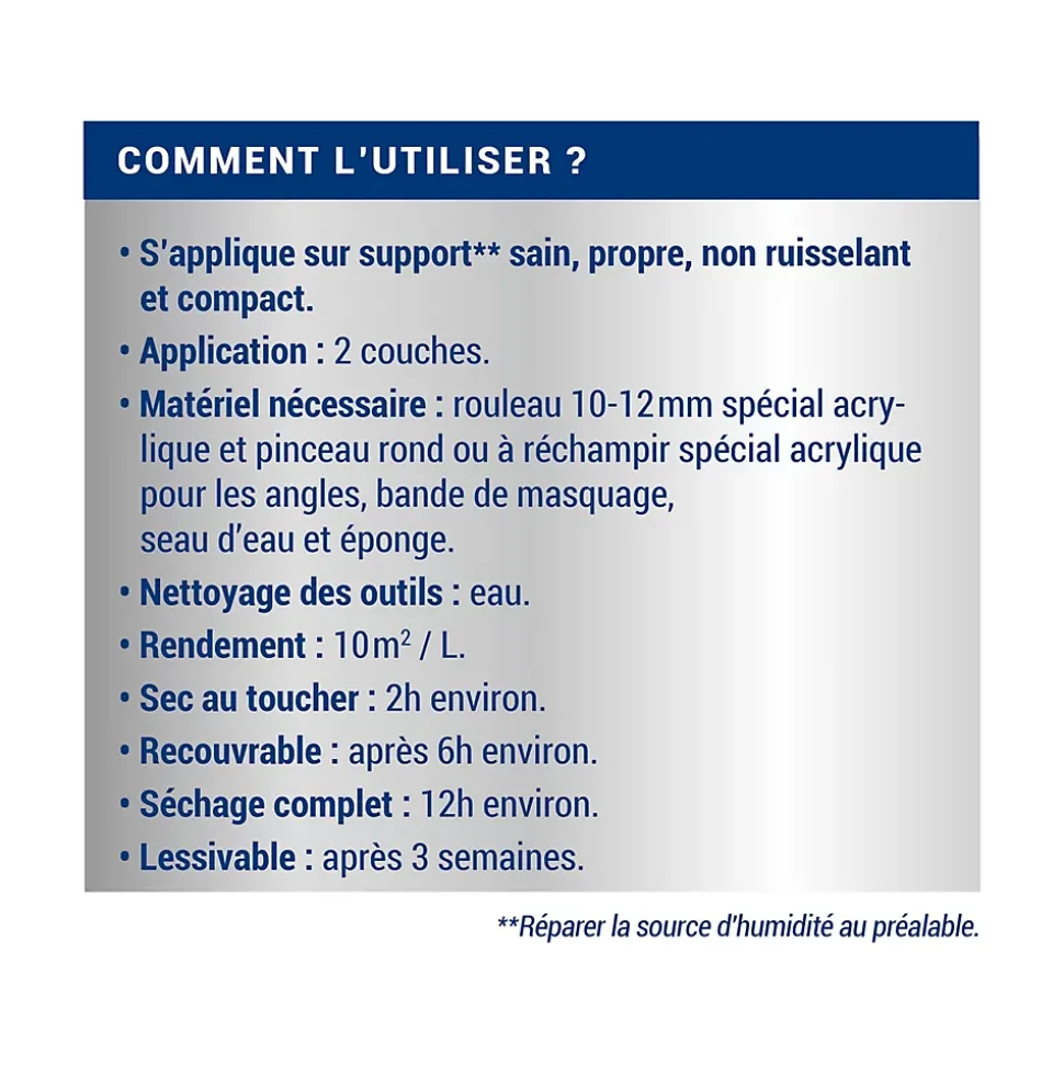 Peinture anti-humidité intérieur satin gris lome Ripolin 0,75L