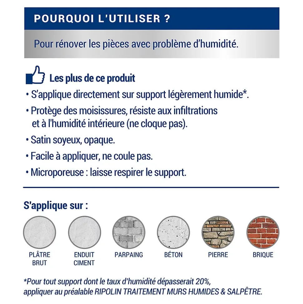 Peinture anti-humidité intérieur satin gris lome Ripolin 0,75L