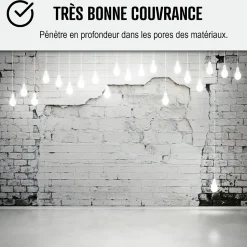 Peinture anti humidité mur humide salle de bain - ARCASCREEN - 10 L (jusqu'à 40 m²) - ARCANE INDUSTRIES