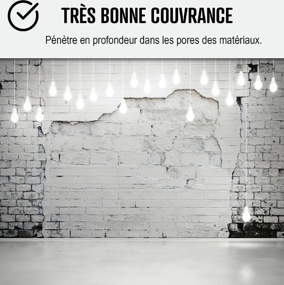 Peinture anti humidité mur humide salle de bain - ARCASCREEN - 10 L (jusqu'à 40 m²) - ARCANE INDUSTRIES