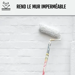 Peinture anti humidité mur humide salle de bain - ARCASCREEN - 10 L (jusqu'à 40 m²) - ARCANE INDUSTRIES