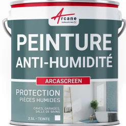 Peinture anti humidité mur humide salle de bain - ARCASCREEN - 2.5 L (jusqu'à 10 m²) - ARCANE INDUSTRIES