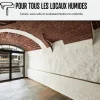 Peinture anti humidité mur humide salle de bain - ARCASCREEN - 0.75 L (jusqu'à 3 m²) - ARCANE INDUSTRIES