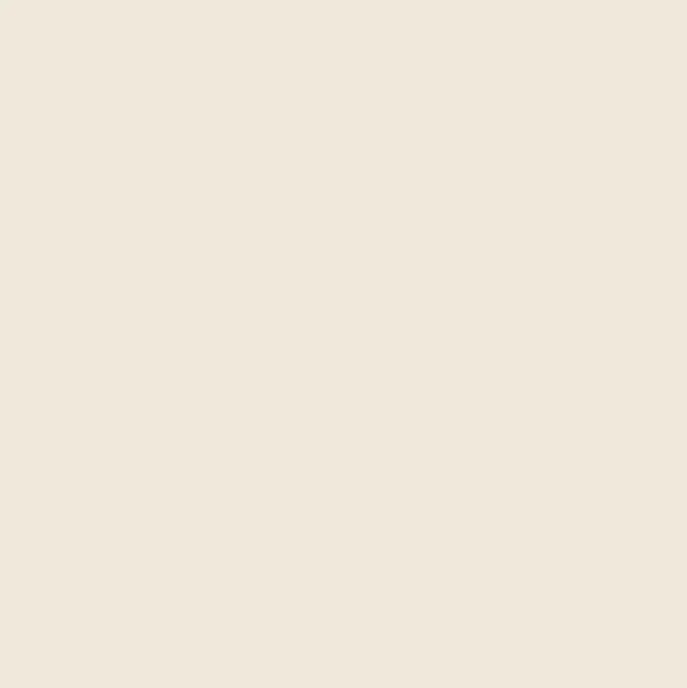 Peinture cuisine lavable, mur et plafond Blanc Crème - 10 L - ARCANE INDUSTRIES