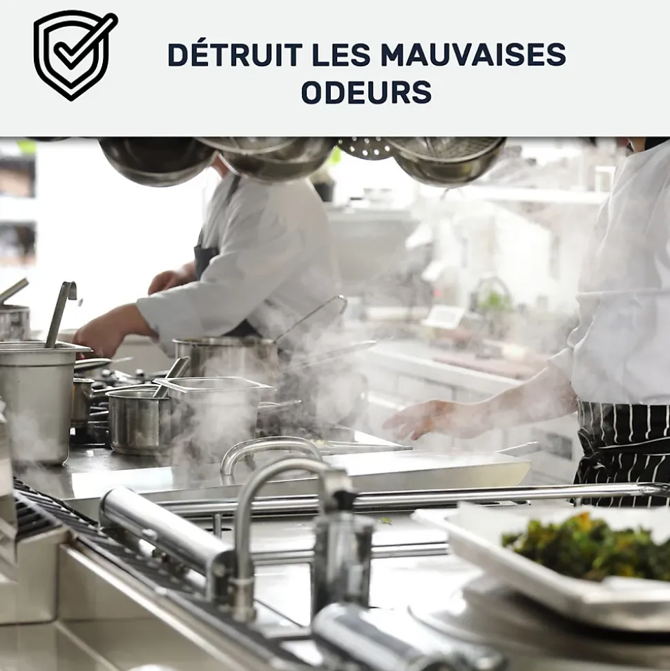 Peinture cuisine lavable, mur et plafond Blanc Crème - 10 L - ARCANE INDUSTRIES