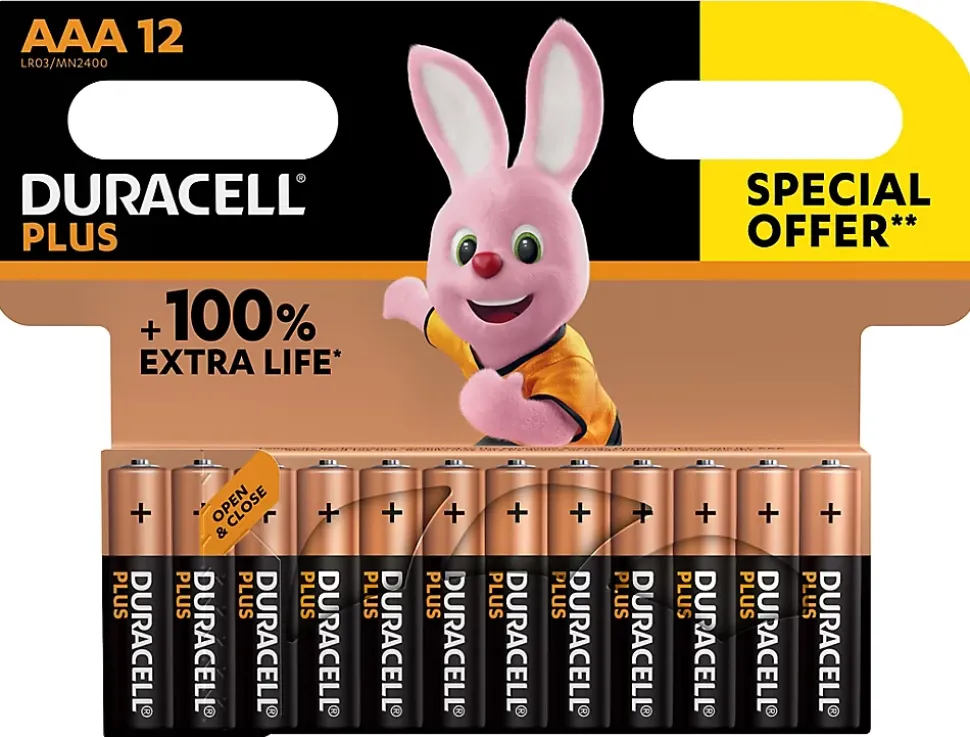 Pile alcaline AAA (LR03) Duracell Plus non rechargeable, lot de 12