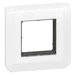 Plaque de finition 2 modules Legrand Mosaïc 0 994 72 coloris blanc l.82 x P.9 x H.82 mm