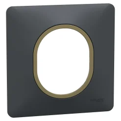Plaque de finition 1 poste Schneider Electric Ovalis S340702E coloris anthracite avec liseré laiton l.87 x P.10 x H.87 mm
