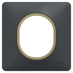 Plaque de finition 1 poste Schneider Electric Ovalis S340702E coloris anthracite avec liseré laiton l.87 x P.10 x H.87 mm