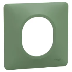 Plaque de finition 1 poste Schneider Electric Ovalis S320702B coloris vert forêt l.87 x P.10 x H.87 mm