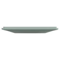 Plaque de finition 1 poste Schneider Electric Ovalis S320702A coloris sauge l.87 x P.10 x H.87 mm