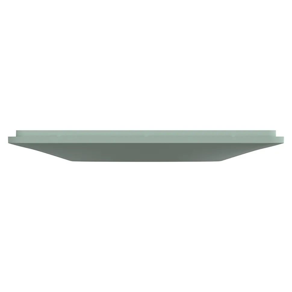Plaque de finition 1 poste Schneider Electric Ovalis S320702A coloris sauge l.87 x P.10 x H.87 mm