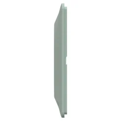 Plaque de finition 1 poste Schneider Electric Ovalis S320702A coloris sauge l.87 x P.10 x H.87 mm