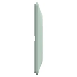 Plaque de finition 1 poste Schneider Electric Ovalis S320702A coloris sauge l.87 x P.10 x H.87 mm