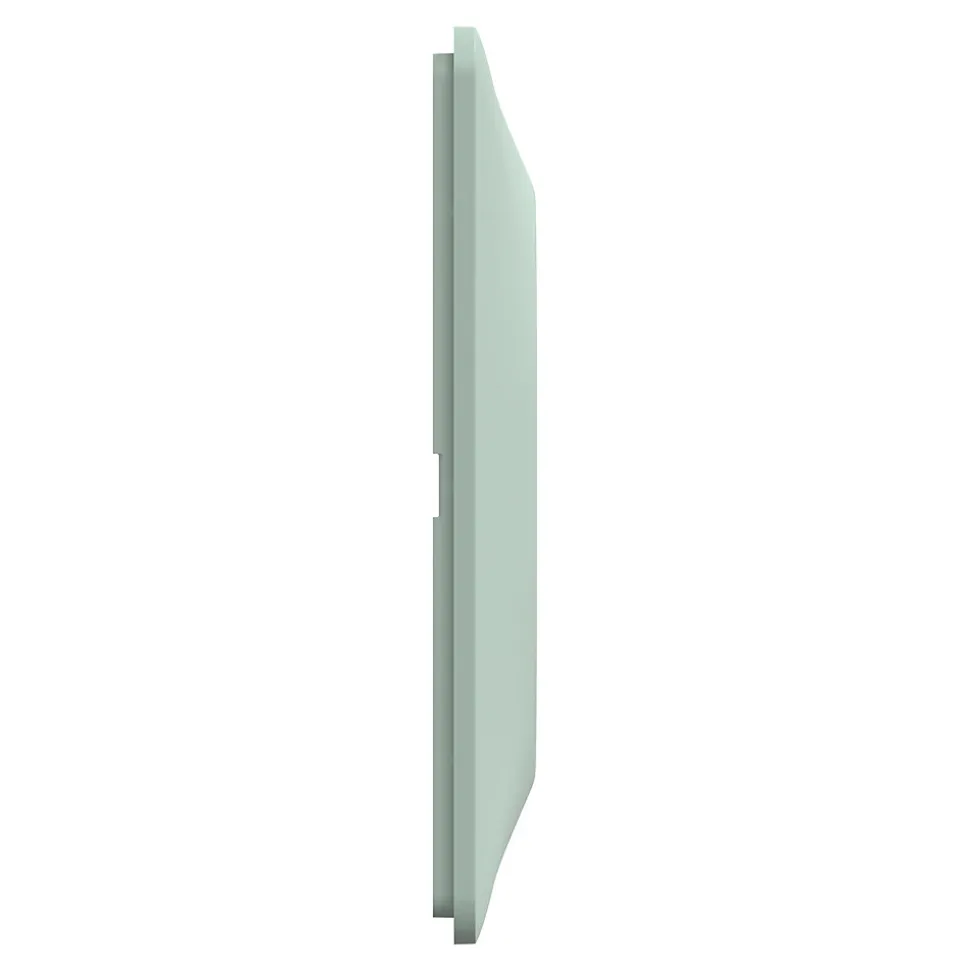 Plaque de finition 1 poste Schneider Electric Ovalis S320702A coloris sauge l.87 x P.10 x H.87 mm