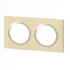 Plaque de finition 2 postes Legrand Dooxie 6 008 12 coloris dune mat avec bague dune brillante l.158 x P.10 x H.87 mm