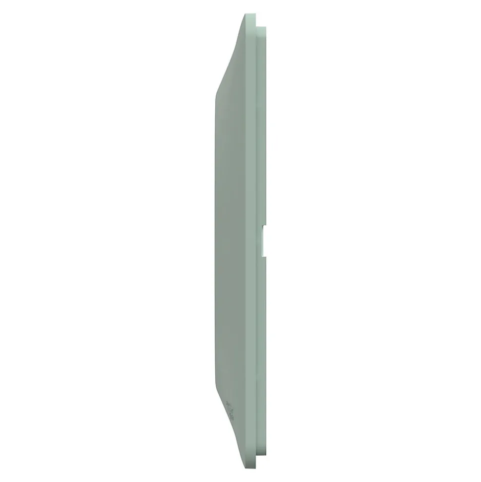Plaque de finition 2 postes Schneider Electric Ovalis S320704A coloris sauge l.158 x P.10 x H.87 mm