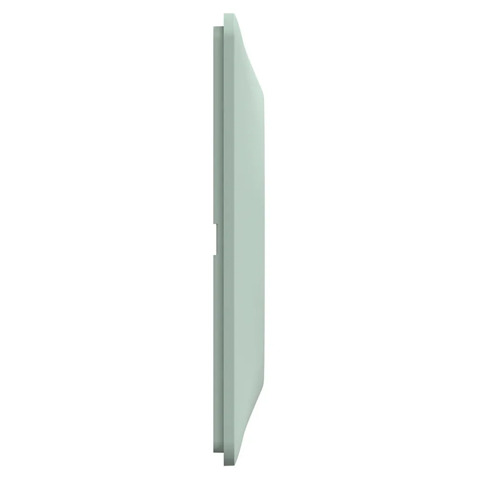 Plaque de finition 2 postes Schneider Electric Ovalis S320704A coloris sauge l.158 x P.10 x H.87 mm