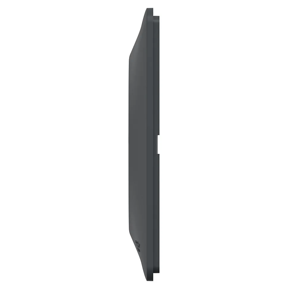 Plaque de finition 2 postes Schneider Electric Ovalis S340704E coloris anthracite avec liseré laiton l.158 x P.10 x H.87 mm