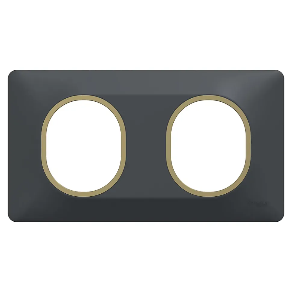 Plaque de finition 2 postes Schneider Electric Ovalis S340704E coloris anthracite avec liseré laiton l.158 x P.10 x H.87 mm