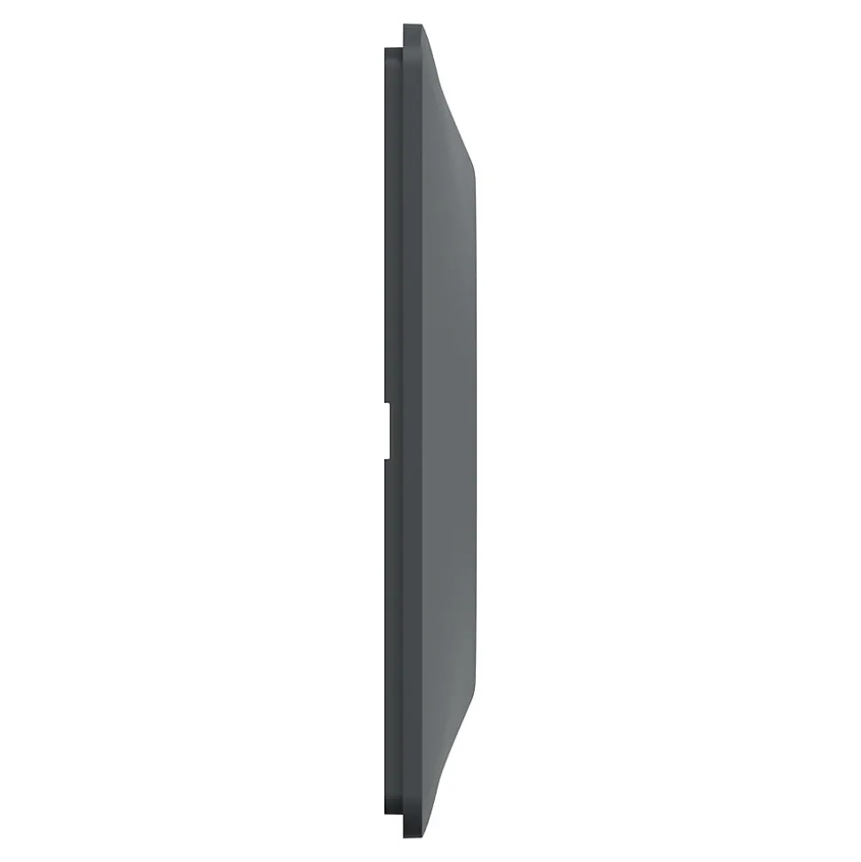 Plaque de finition 2 postes Schneider Electric Ovalis S340704E coloris anthracite avec liseré laiton l.158 x P.10 x H.87 mm