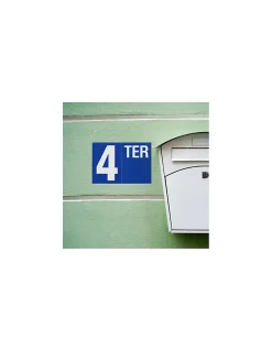 Plaque de signalisation TER, marquage blanc sur fond bleu, panneau PVC adhésif, 65x90mm - THIRARD
