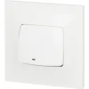 Poussoir lumineux Legrand Neptune plastique blanc