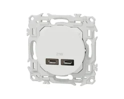 Prise chargeur USB double type C Blanc craie Schneider Odace