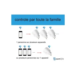 Prise connectée SomLife application tuya smart life contrôle de consommation Compatible avec Alexa/Google Home