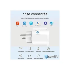 Prise connectée SomLife application tuya smart life contrôle de consommation Compatible avec Alexa/Google Home