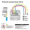 Prise de courant 2 pôles + terre affleurante avec griffes Schneider Electric Ovalis anthracite