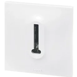 Prise de téléphone Legrand Neptune plastique blanc mat